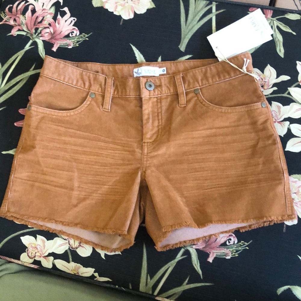 Carve designs Oahu shorts